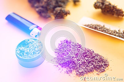 Hemp legalisation. CBD and THC on buds in cannabis. Herb grinder Fresh marihuana Stock Photo