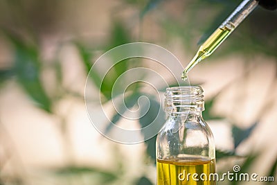 Hemp oil, Medical marijuana products including cannabis leaf, cbd and hash oil, alternative medicine Stock Photo