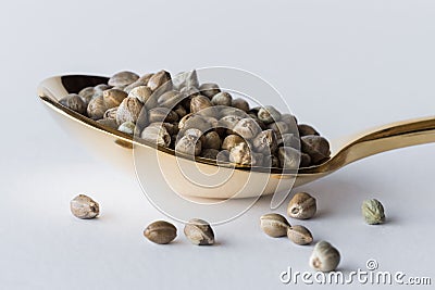 Hemp Seeds on a Gold Spoon Stock Photo