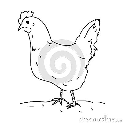 Hen chicken bird illustration vector Vector Illustration