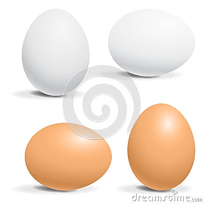 Hen egg Vector Illustration