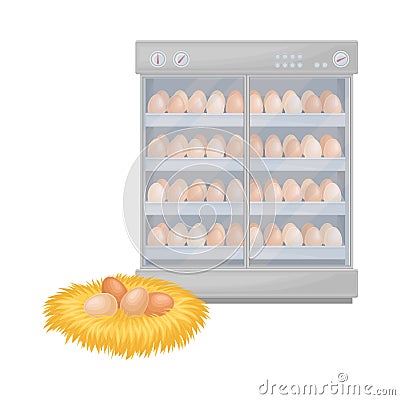 Hen Eggs in Hay Nest and Incubator Equipment Vector Illustration Vector Illustration
