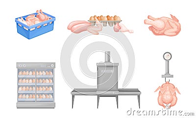 Hen Eggs Incubator and Dressed Chicken Vector Set Vector Illustration