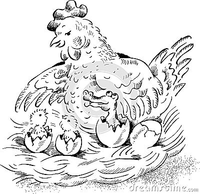 Hen on nest with hatching chicken and baby crocodi Vector Illustration