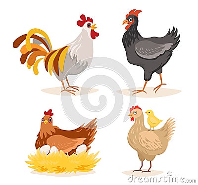 Hen and Roosters, Chicken with Little Chicks and Eggs in Nest, Poultry Farm Male and Female Birds, Farming Production Vector Illustration