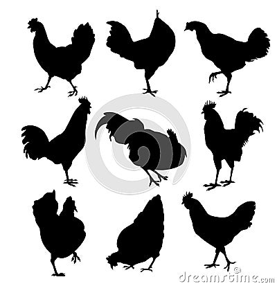 Hen and roster silhouette-vector Vector Illustration