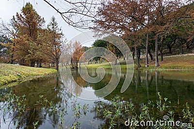 Henderson Creek, Ingram Texas Stock Photo