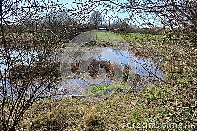 Henhurst Lake viewed through a tangles mess of thorny branches Stock Photo