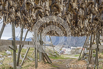 Henningsvaer Lofoten Norway Stock Photo