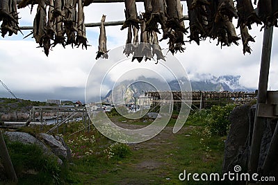 Henningsvaer, Lofoten, Norway Stock Photo