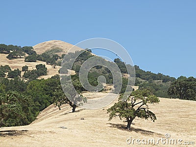 Henry Coe State Park Stock Photo