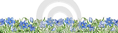 Hepatica flowers header. Hand drawn watercolor illustration. Spring blue flower banner. Cartoon Illustration