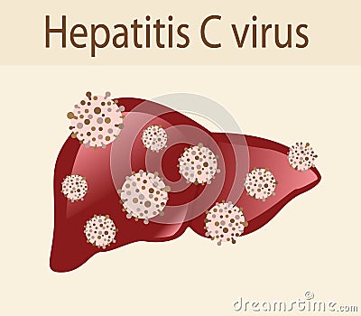 Hepatitis C virus attack the liver Vector Illustration