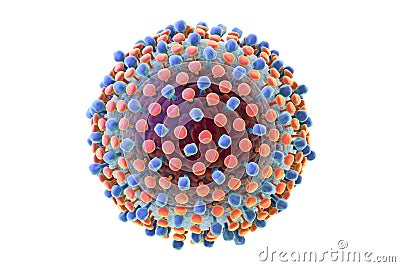 Hepatitis C virus illustration Cartoon Illustration