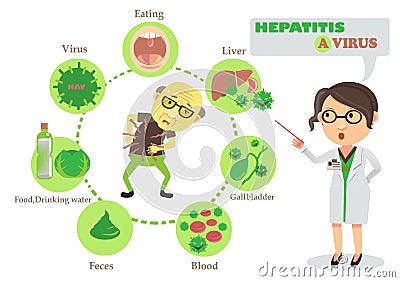 Hepatitis a virus Vector Illustration