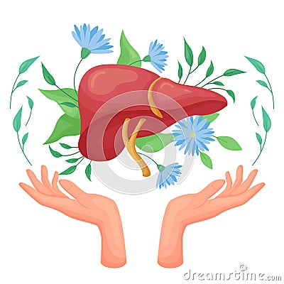 Hepatology, liver health care and detox, hands holding human organ among flowers Vector Illustration