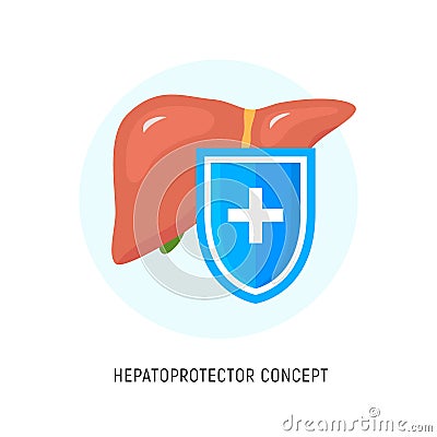 Hepatoprotector concept icon, healthy liver flat icon shield. Liver care guard icon Vector Illustration