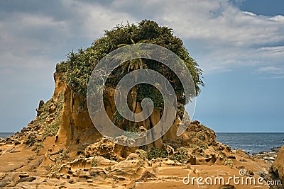 Heping Island Park, a park with forming rocks with special shapes from strong wind erode the coastal area over the years Stock Photo