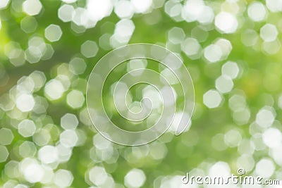 Heptagon bokeh from leaf Stock Photo