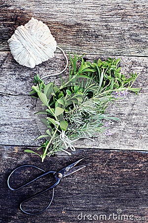 Herb Bundle Stock Photo