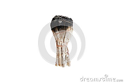 Herb bundle of dried sage smudge stick. Isolated image on white background Stock Photo