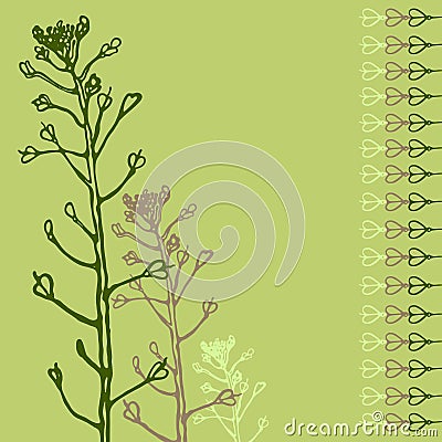 Herb Capsella bursa-pastoris. Brassicaceae. Medicinal plant. Card. Hand drawn. Vector Illustration