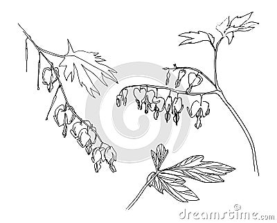 Herb doodle vector image. Flower set. Sketch style. Vector Illustration