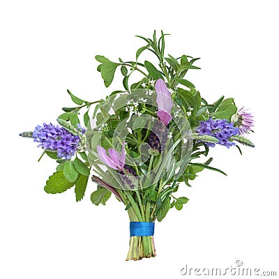 Herb Flower Posy Stock Photo