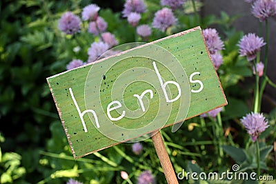 Herb Garden Stock Photo