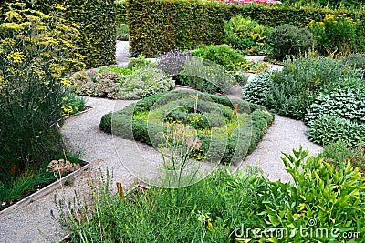 Herb garden Stock Photo