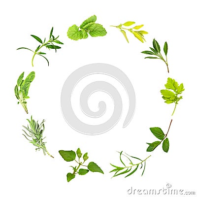 Herb Leaf Circle Stock Photo