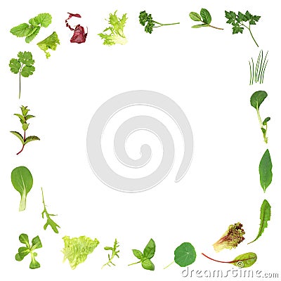Herb and Lettuce Leaf Border Stock Photo