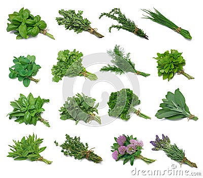 Herb Sampler Stock Photo