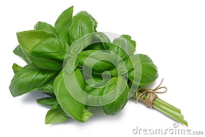 Herb Series Basil Stock Photo