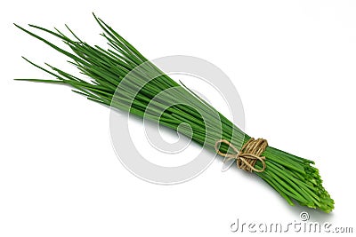 Herb Series Chives Stock Photo