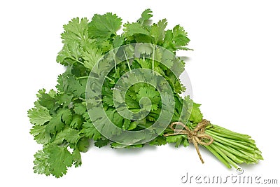 Herb Series Coriander/Cilantro Stock Photo