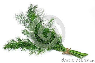 Herb Series Dill Stock Photo