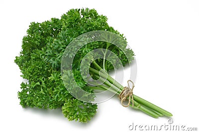 Herb Series Parsley Stock Photo