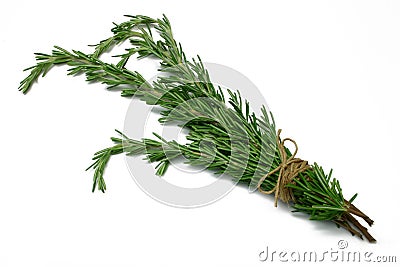 Herb Series Rosemary Stock Photo