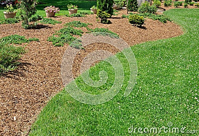 Herbaceous Border Stock Photo