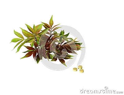 Herbal,bioactive additives, medicine Stock Photo