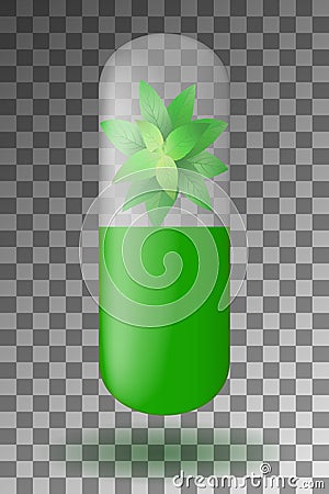 Herbal capsule with mint leaves inside on a transparent background. Vector Illustration