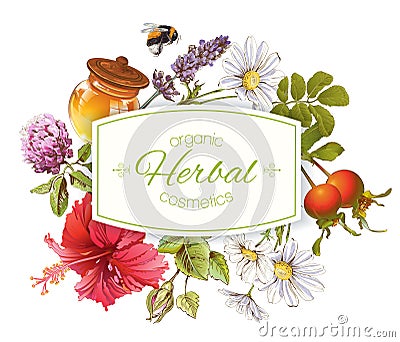 Herbal cosmetics banner Vector Illustration