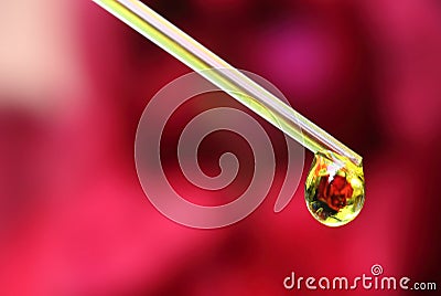 Herbal drop Stock Photo