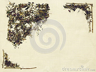 Herbal flat lay of different herbs on linen fabric Stock Photo