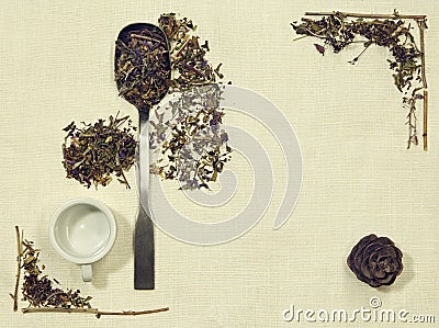 Herbal flat lay of different herbs on linen fabric with a spoon, cup and pine cone Stock Photo