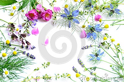 Herbal flowers Stock Photo