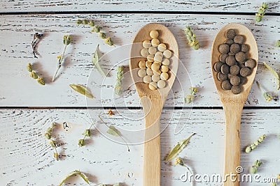 Herbal homeopathy natural pills or vitamins in wooden spoons and dry herbs on white wooden vintage background. Stock Photo