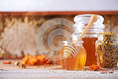 Herbal honey in jar with dipper, honeycomb, bee pollen granules, calendula flowers on grey background Stock Photo