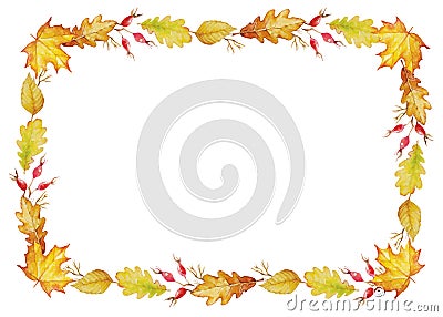 Herbal horizontal vector frame. Watercolor painted plants and leaves on white background Vector Illustration